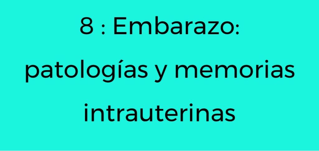 Embarazo